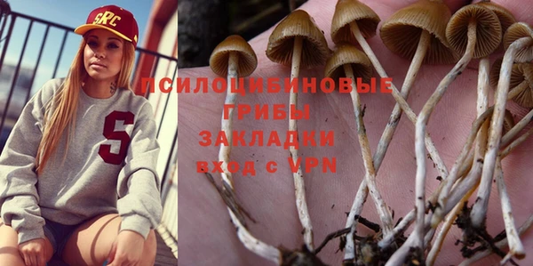 первитин Белоозёрский
