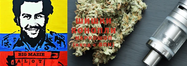 гидра Балахна